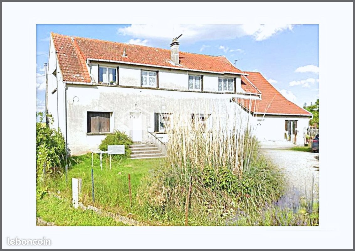 Immeuble 220 m² PONT-SUR-YONNE (image 4)