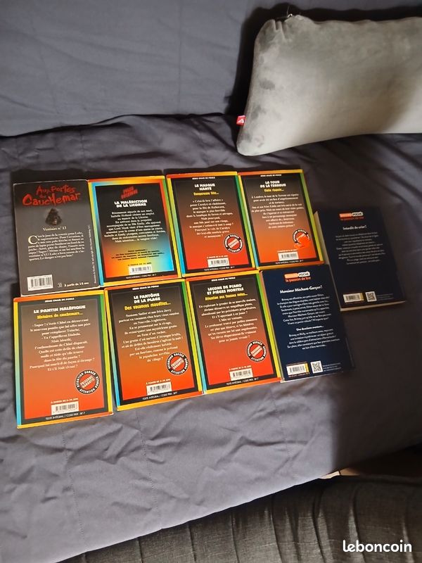 Lot livre horreur jeunesse chair de poule (image 4)