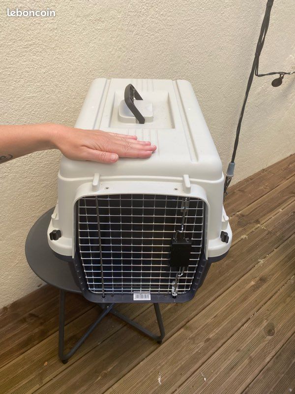 Caisse de transport chien/chat très bon état (image 3)