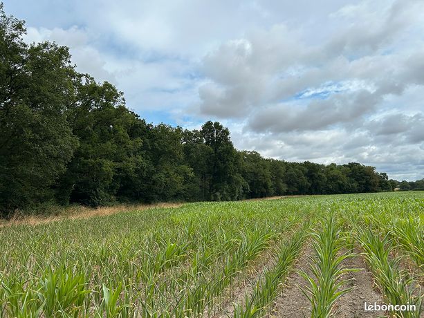 Territoire de Chasse avec Étang dans l’Indre d’environ 15 hectares DF-634-B