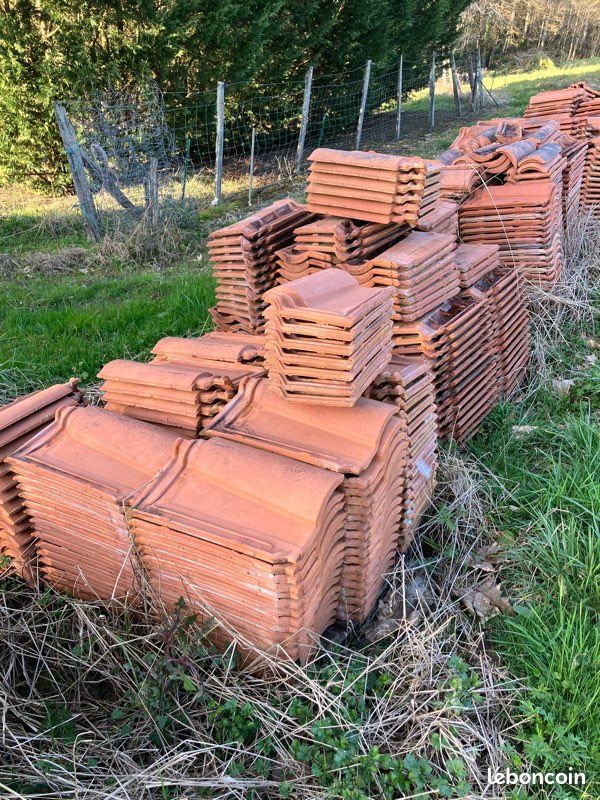 Tuile méridionale (image 2)