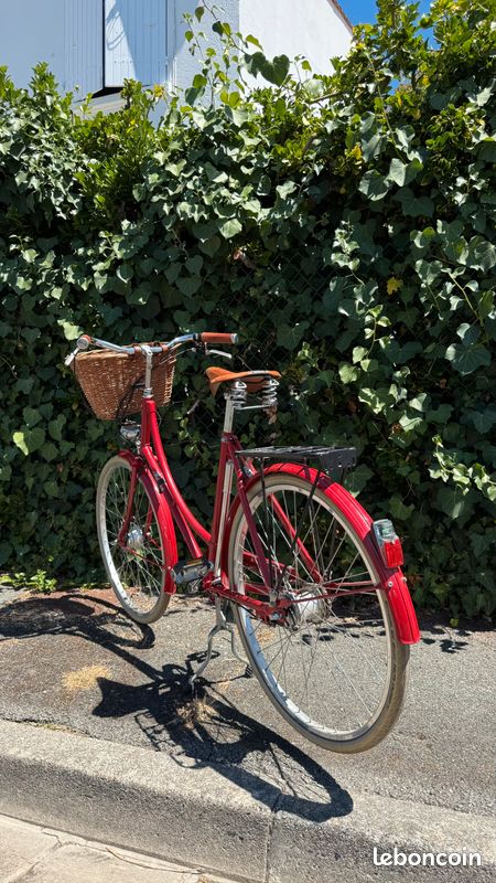 Pashley Britannia – Vélo anglais haut de gamme artisanal, Brooks, Sturmey Archer (image 4)