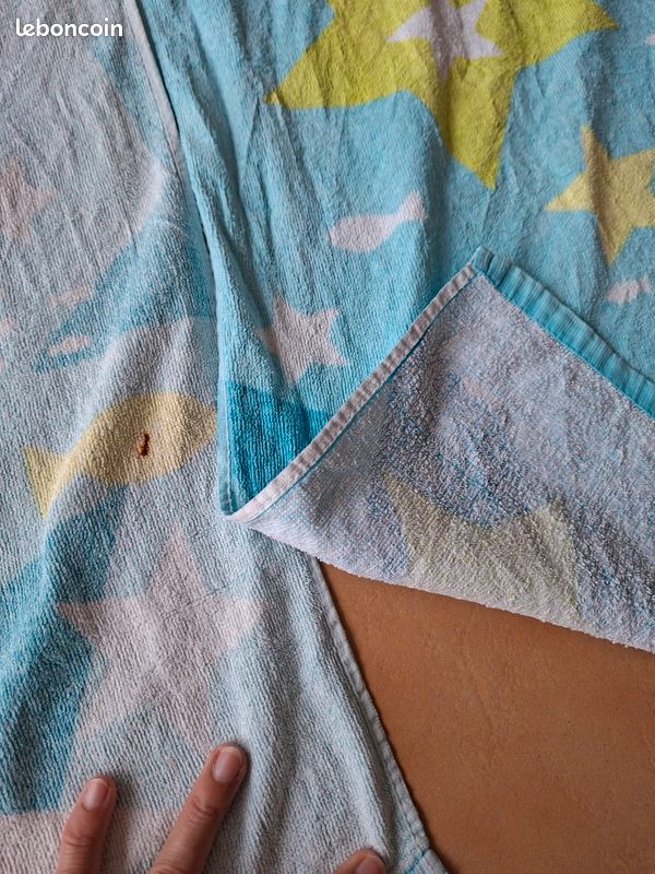 Lot de 2 serviettes de plage (image 4)