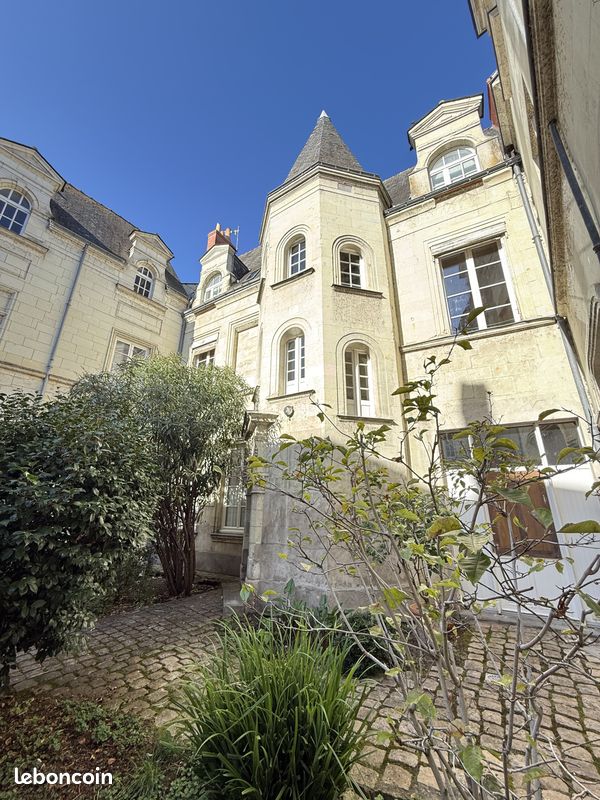 Maison a louer saumur - 10 pièce(s) - 500 m2 - Surfyn