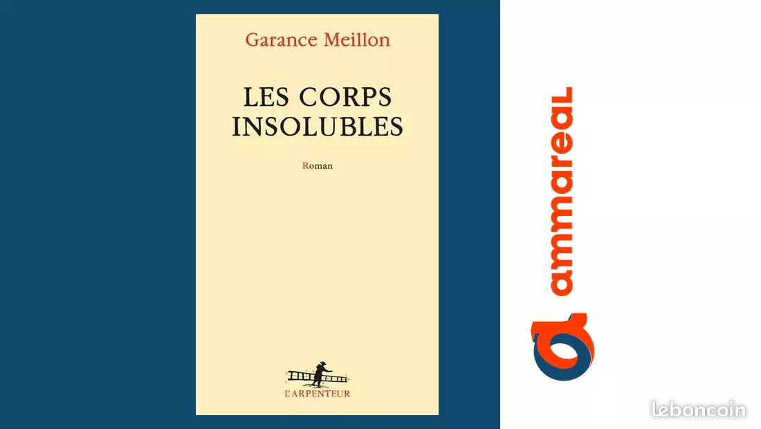 Les corps insolubles - Garance Meillon (image 1)