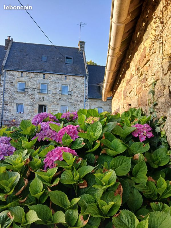 Maison 4 pièces 85 m² · à Pluvigner · 85 m² · 264 000 €