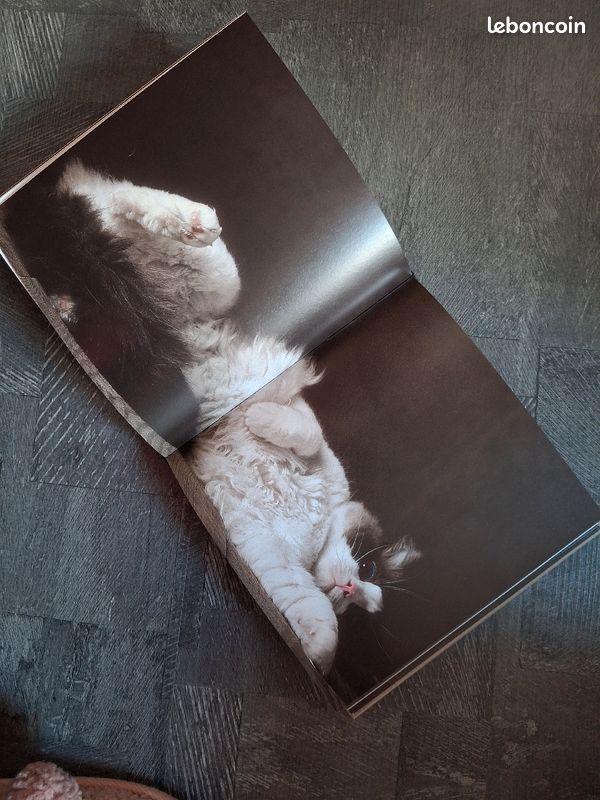 Livres Les chats (image 3)