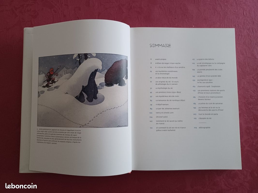 Livre Histoire Ski L’Epopée du Ski Arthaud 2014 (image 3)