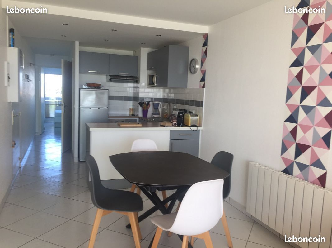 Canet plage, bel appartement taversant,front de mer (image 8)