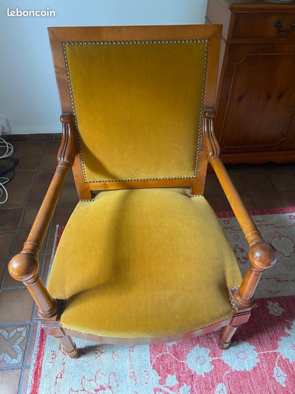 Fauteuil velours (image 1)