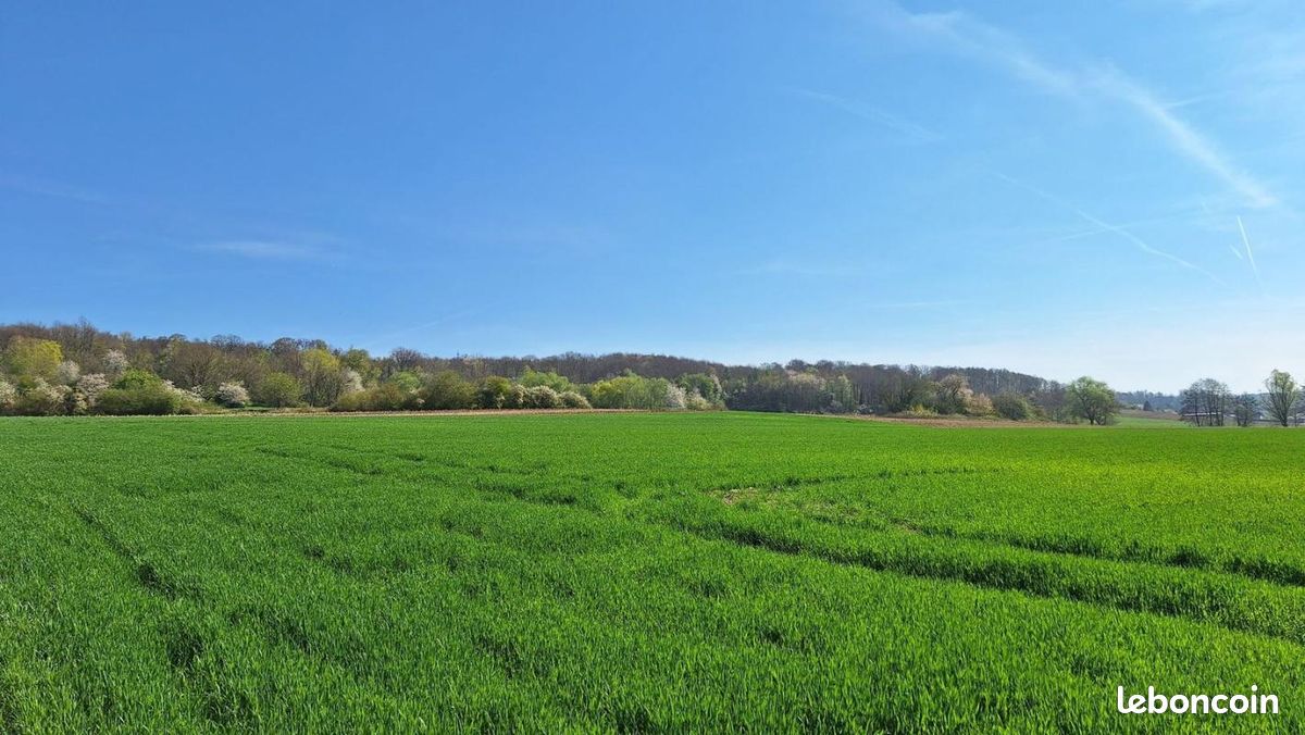 Terrain 439 m² Hirsingue · 71 900 €