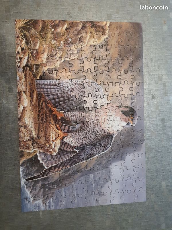 Puzzle 150 pièces rapace (image 2)