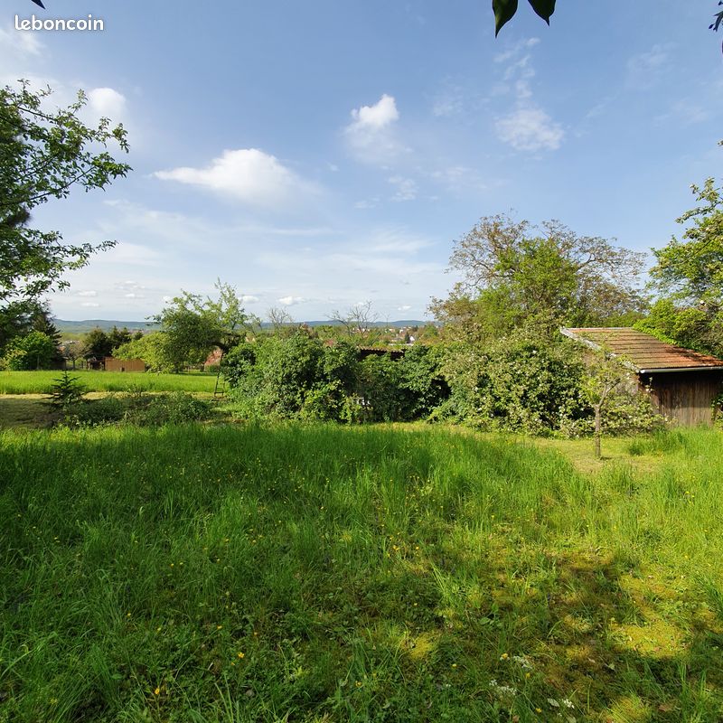 Terrain constructible · à Bouxwiller · 137 000 €