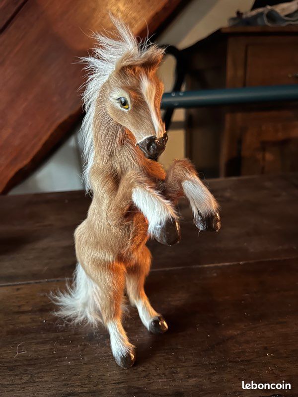 Le plus ancien poney-club fête ses 60 ans et il se trouve en Normandie
