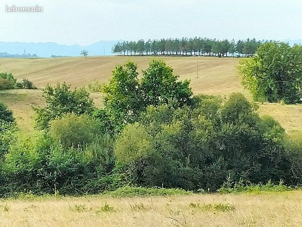 Terrain 267883 m² Margouët-Meymes