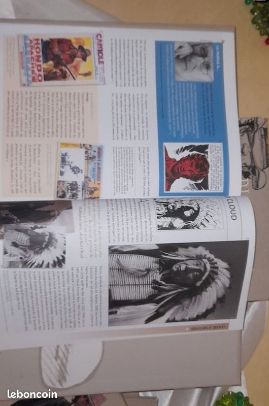 Collection BD Blueberry - 17 Volumes Hachette - ÉTAT INTÉRIEUR NEUF + Affiche Giraud (image 9)