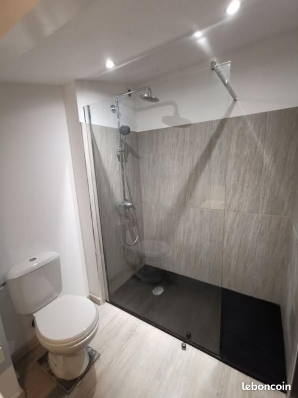 Appartement 3 pièces 52 m² - Limoges 87000 (image principale 3)