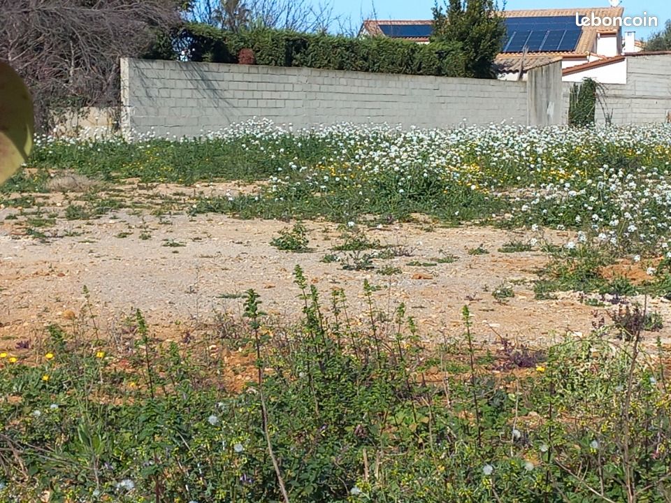 Terrain 315 m² Mauguio · 262 000 €