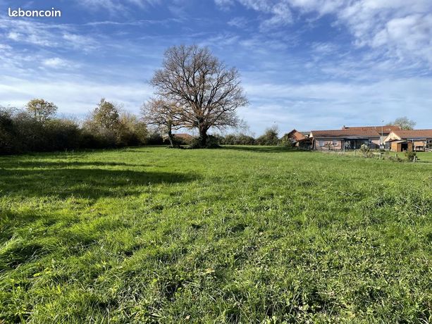 Terrain 4 920 m² Saint Sylvestre Pragoulin