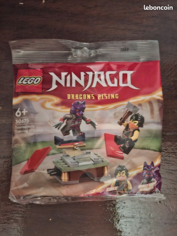 Polybag lego ninjago 30675 le centre d entraînement pour le