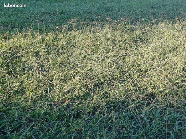 Terrain 634 m² · à Toulouges · 219 000 €