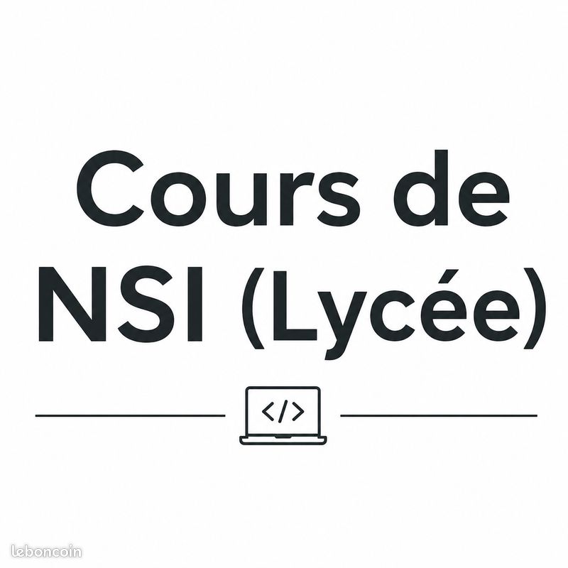 Cours de NSI - Professionnel informatique 18 ans d'expérience - Lycée (visio ou présentiel) (image 1)