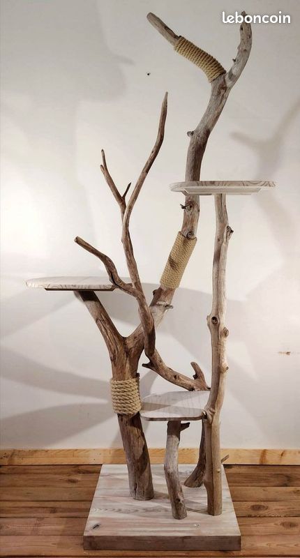 Animaux Chiot Chaton Lyon Toute La Ville Leboncoin