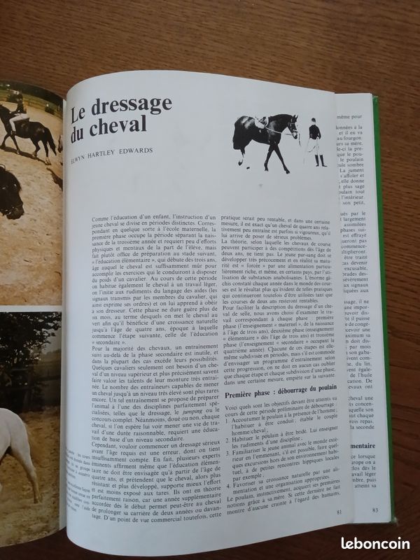 Livre sur les chevaux (image 5)