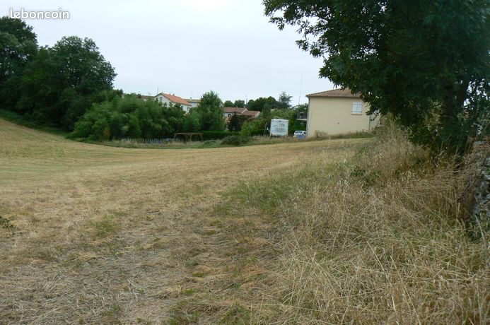 Terrain constructible