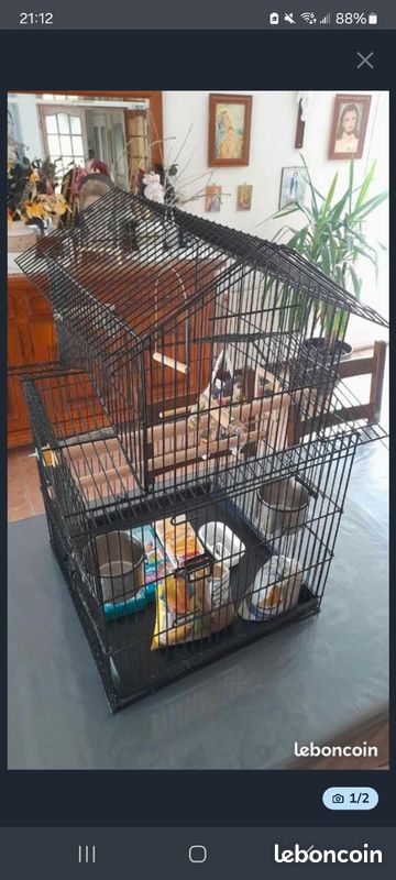 Cage à perruche - Accessoires animaux