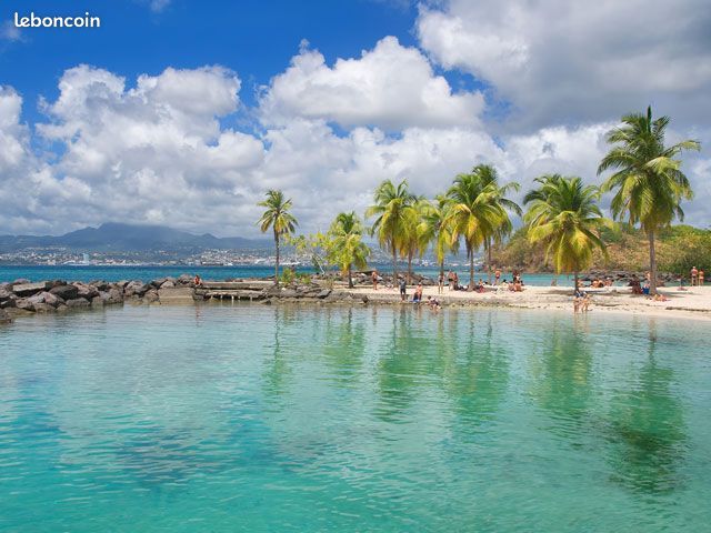 F2 proche de la plage de l' Anse Mitan à pieds (image 11)