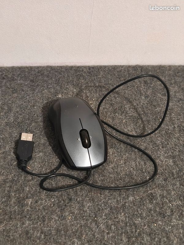 064 souris 3 (image 1)