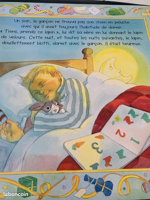 Grand livre le lapin de velours (image 2)