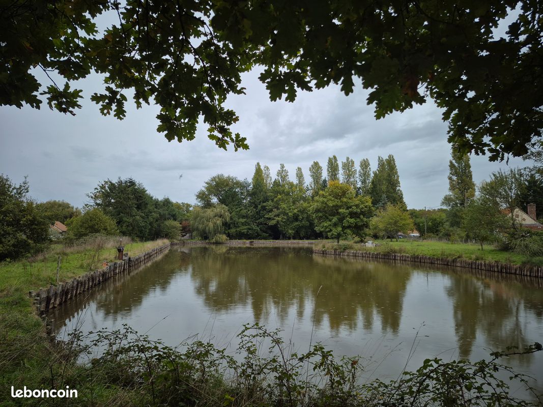 Etang · à Neung-sur-Beuvron · 60 000 €