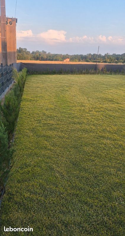 Terrain de 900 m² · à Mosnac · 45 500 €