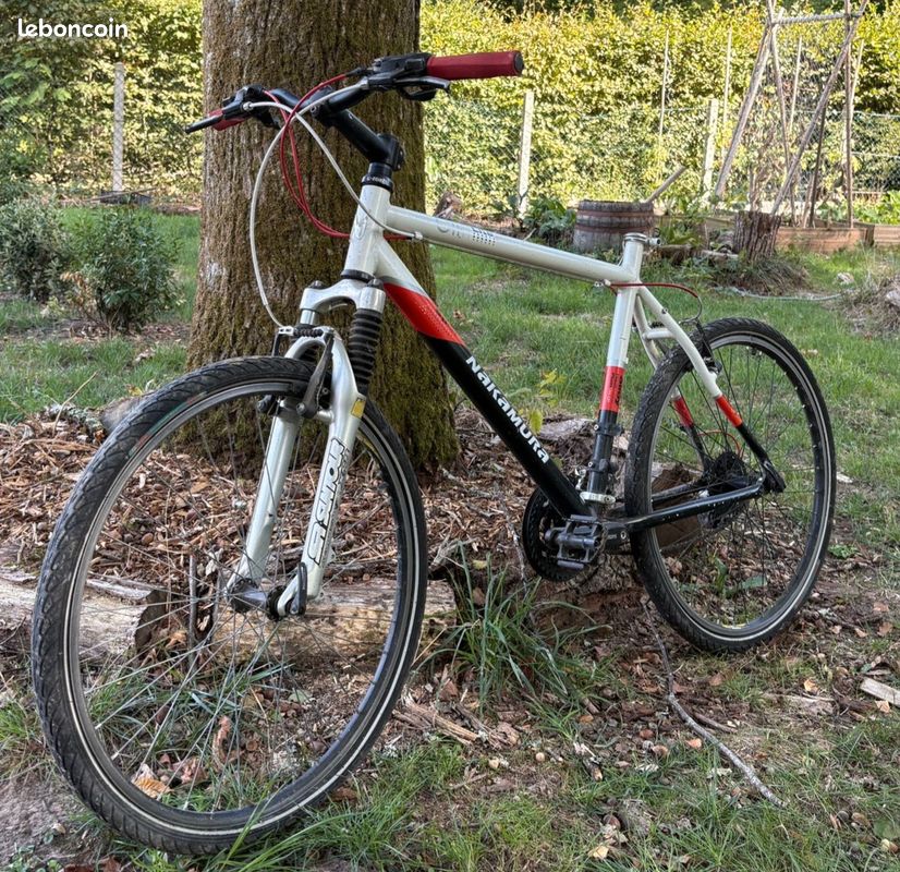 Velo VTT homme XL Vélos