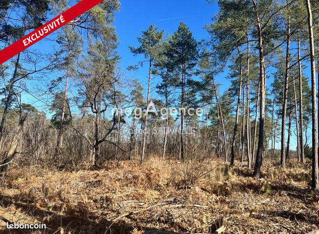 Terrain 17000 m² CHANCELADE
