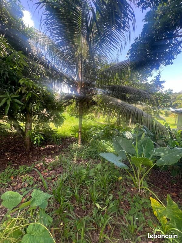 Terrain 675 m² Sainte Marie · à Sainte-Marie · 86 000 €