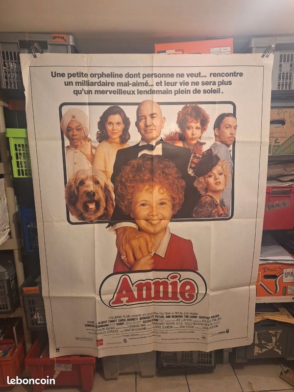 Affiche cinéma Annie (image 1)
