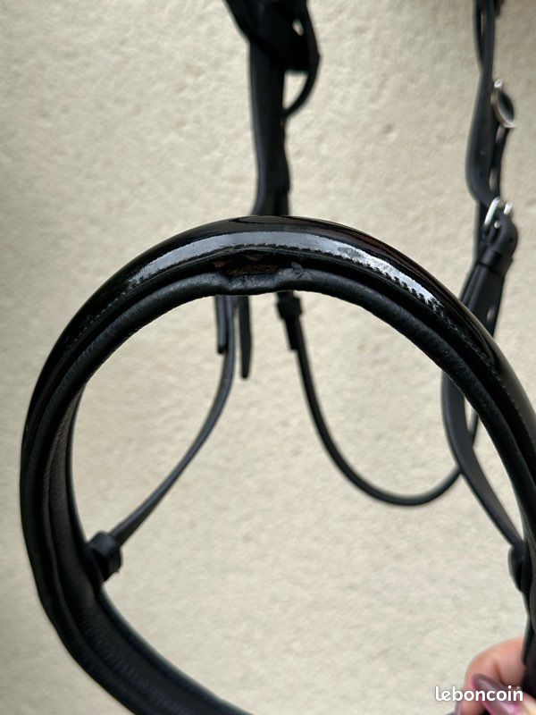 Muserolle compatible bridon Antarès (image 7)