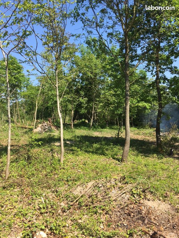 Terrain 2 200 m2 · à Villeperrot · 27 000 €