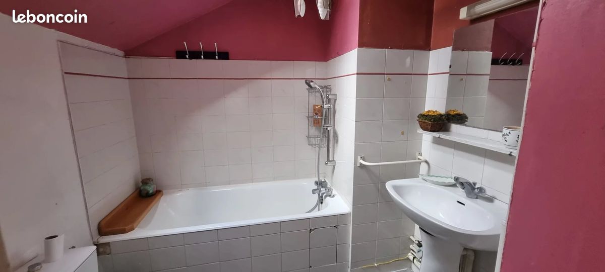 Appartement 1 pièce 26 m² - Limoges 87000 (image principale 5)