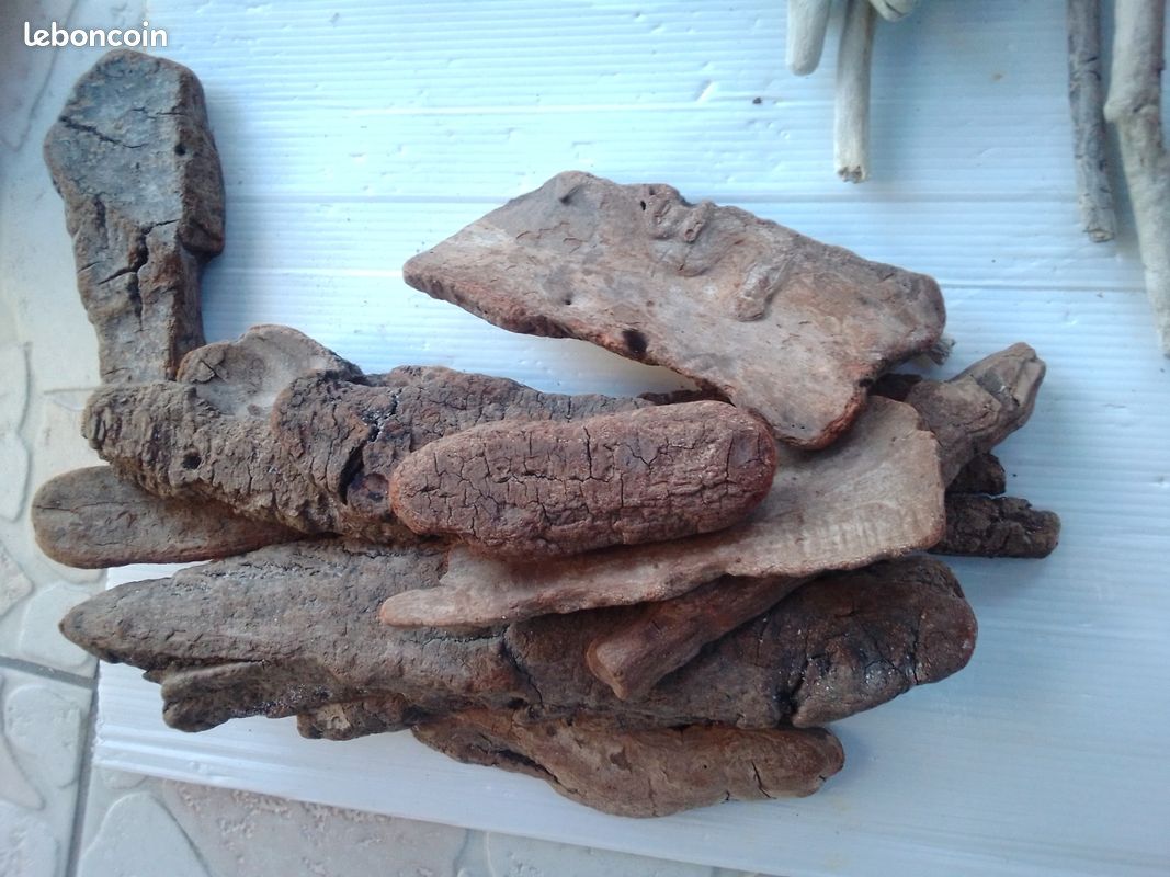 Bois Flotté Naturel 47 Cm - Premier Choix, Très Bon état