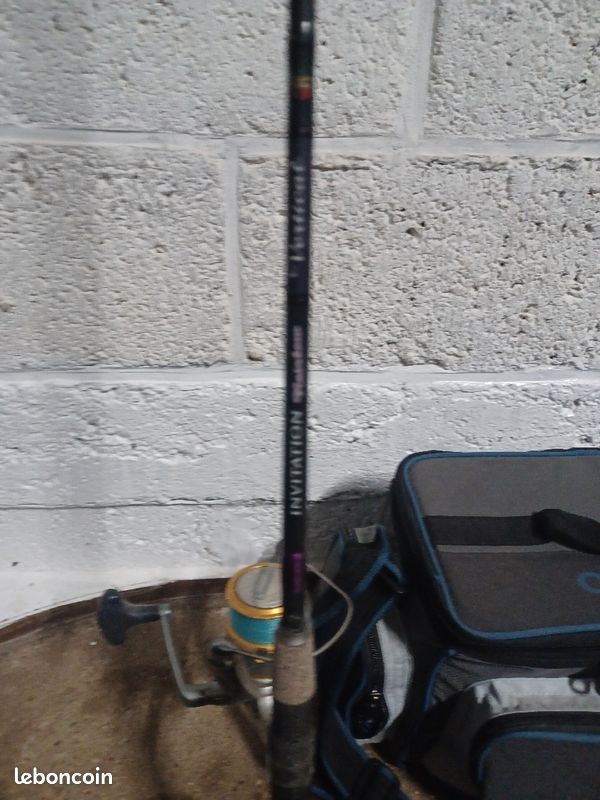 Cane à pêche (image 1)
