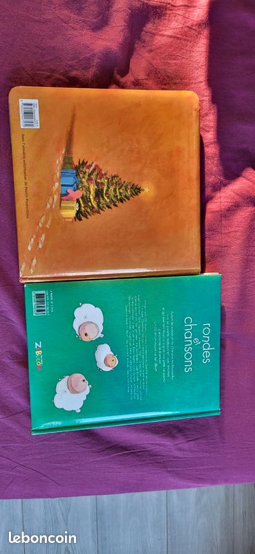 Lot 2 livres avec CD (image 2)