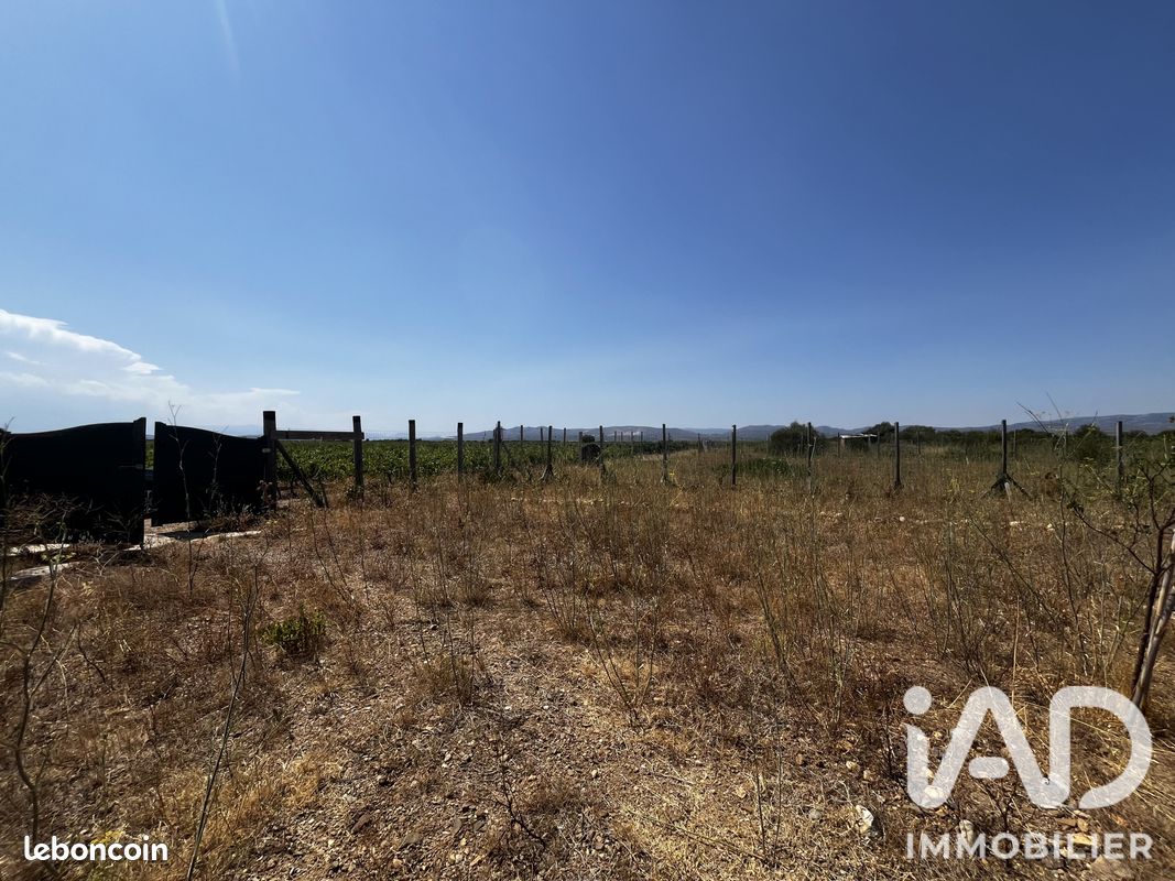 Terrain 650 m² Rivesaltes (image 4)