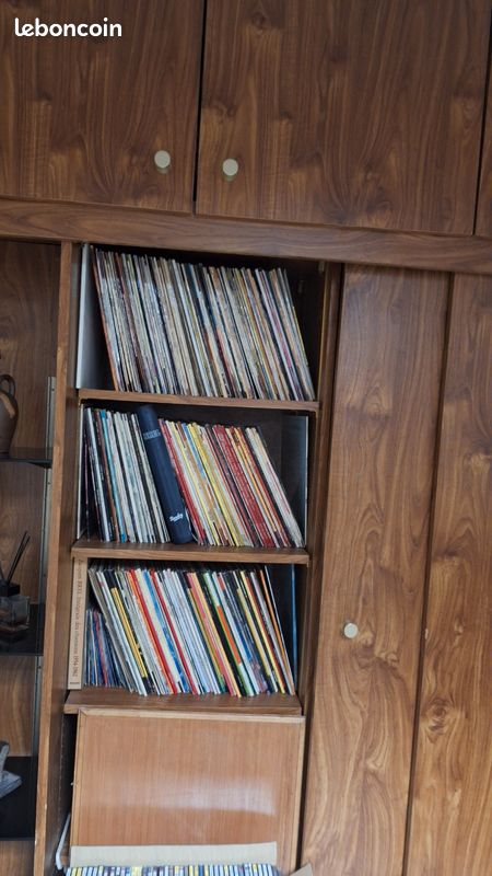 Lot de 260 disques vinyl variétés & classiques (image 1)