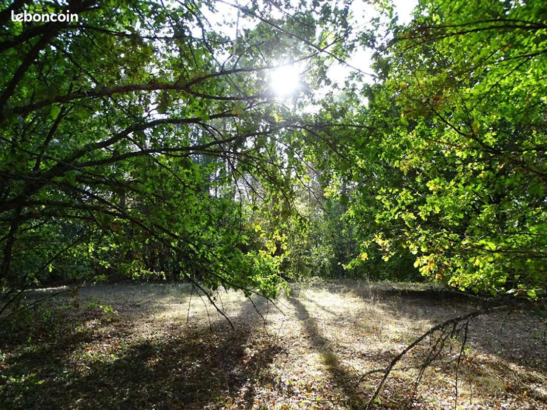 Terrain 5 000 m² Saint Laurent Des Hommes · à Saint-Laurent-des-Hommes · 31 500 €