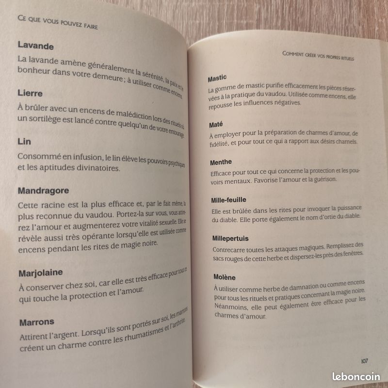 L'Envoûtement par les figurines (image 6)