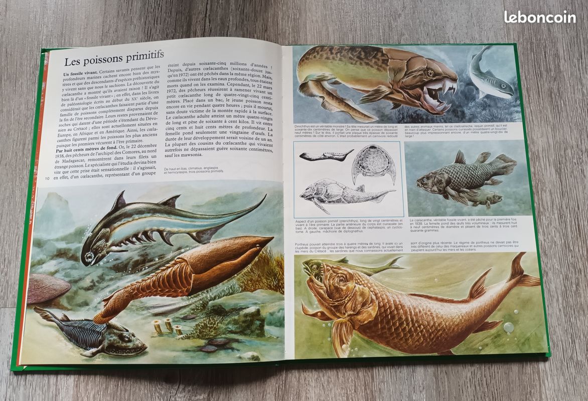 Livre La vie secrète des bêtes (image 3)